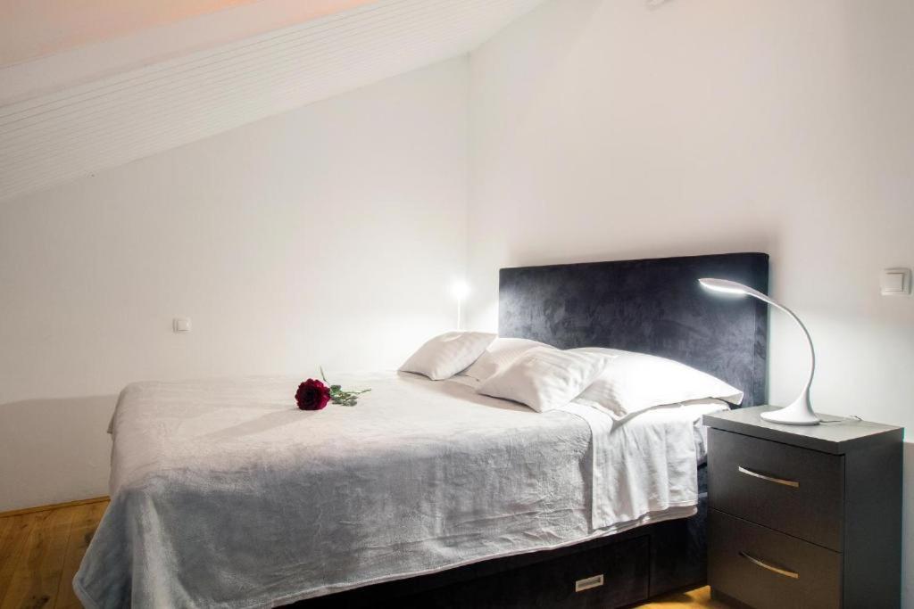 Bed & Breakfast Pino Подстрана Екстериор снимка